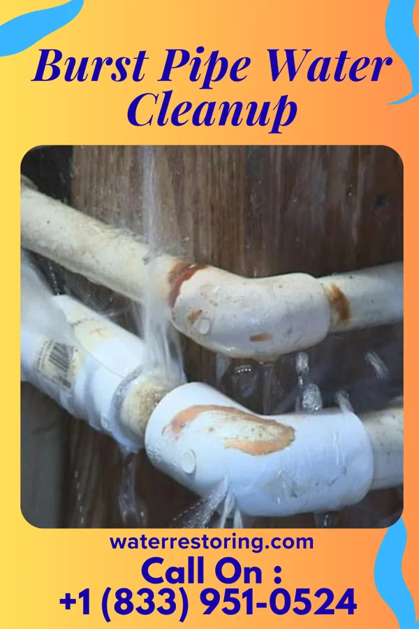 Burst Pipe Water Cleanup in West Conshohocken, PA
