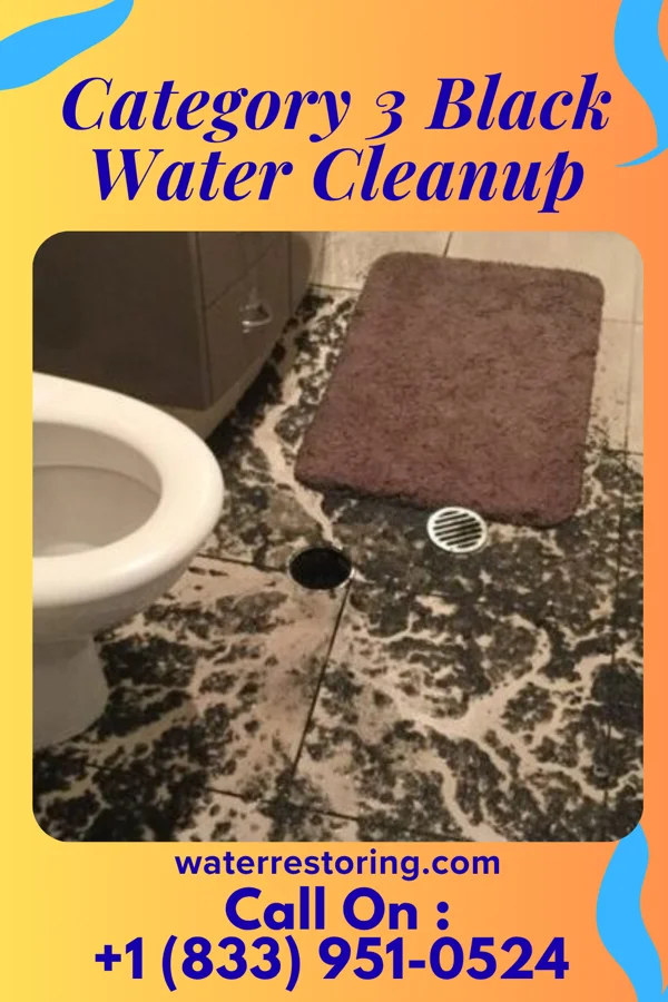 Category 3 Black Water Cleanup in West Conshohocken, PA