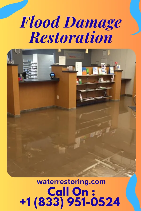 Flood Damage Restoration in West Conshohocken, PA